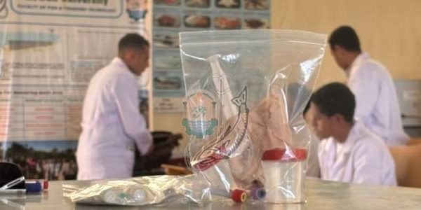 مجموعة من المحاضرات العلمية والتدريبية لطلاب المستوى الثالث ببرنامج المصايد الداخلية