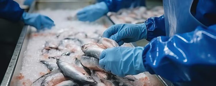 تصنيع الأسماك